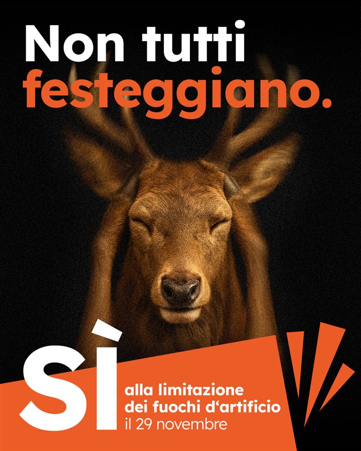 Esempio: visual statico