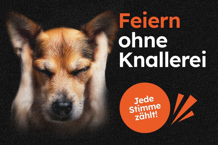 Stand der Initiative