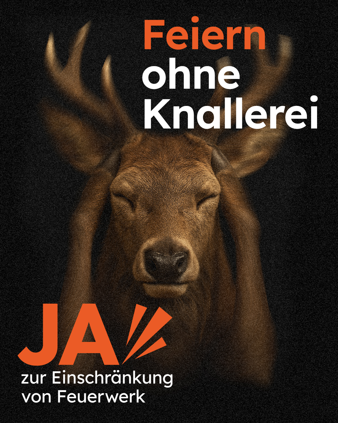Feiern ohne Knallerei