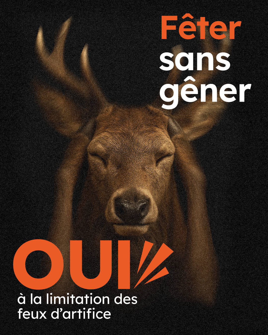 Feiern ohne Knallerei
