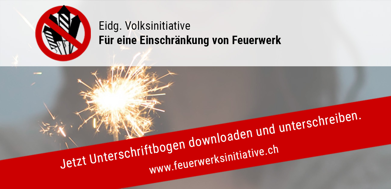 (c) Feuerwerksinitiative.ch