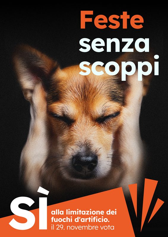 Soggetto Cane